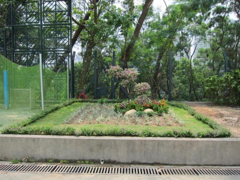 仁濟醫院林百欣中學（花圃種植）